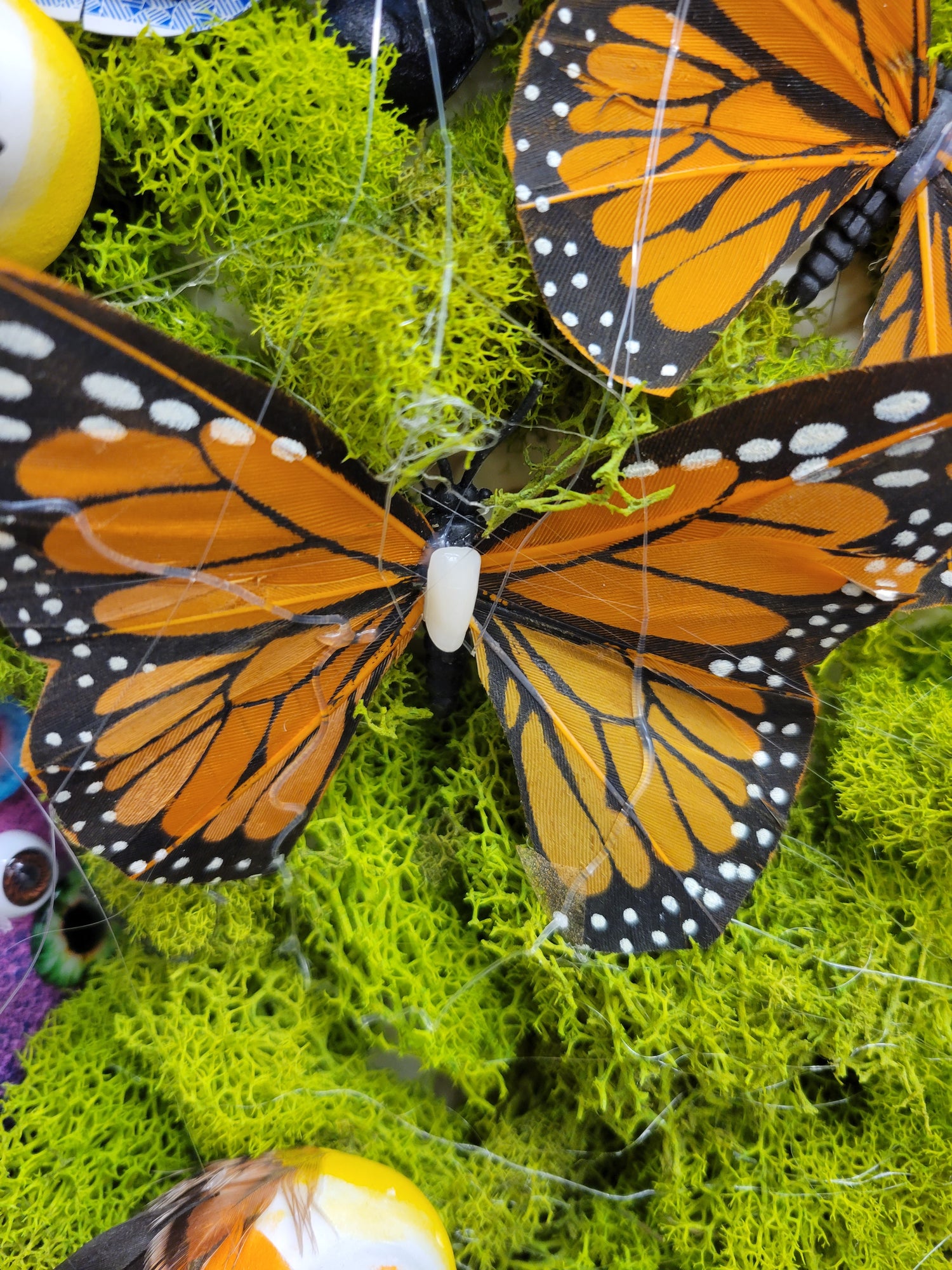 Collage of butterflies and moss.